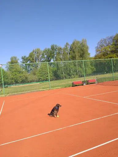 Korty Tenisowe Wesoła - "easyTennis"